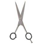DANIAL 6" Sand Scissors for Hair Cutting Stainless Steel Sand Finish