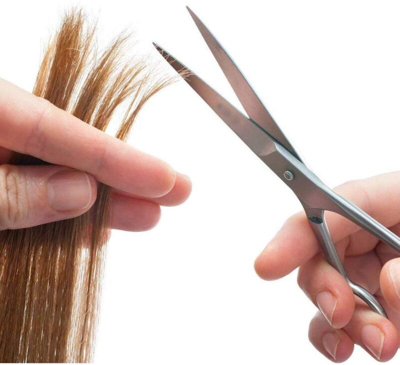 DANIAL 6 inches Hair Cutting Stainless Steel Scissors for Men Women Barber Salon - Image 5